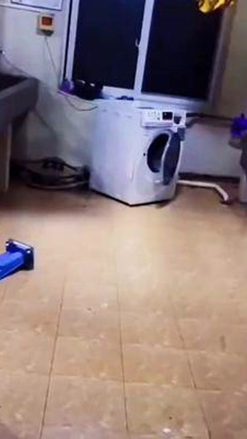 洗衣機(jī)腳墊 不容忽視的居家實(shí)用好物